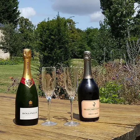 Parc De Launay 3* Louresse-Rochemenier