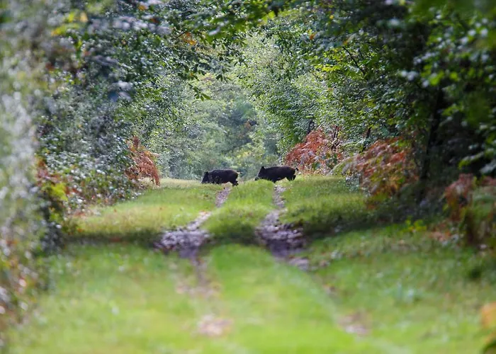 Parc De Launay 3* Louresse-Rochemenier